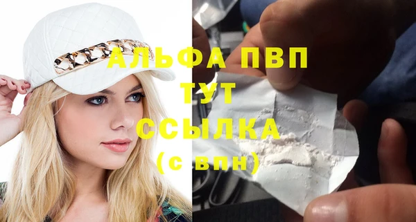 PSILOCYBIN Богородицк