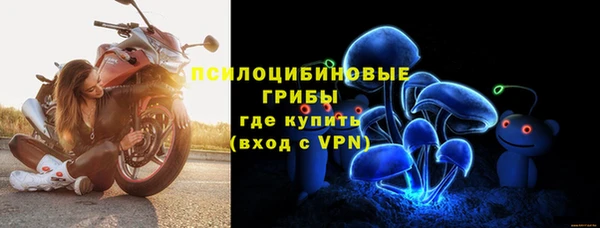кокаин перу Богданович