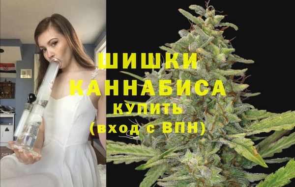 трава Беломорск