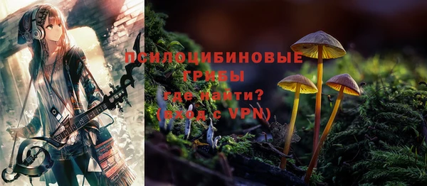 трава Беломорск