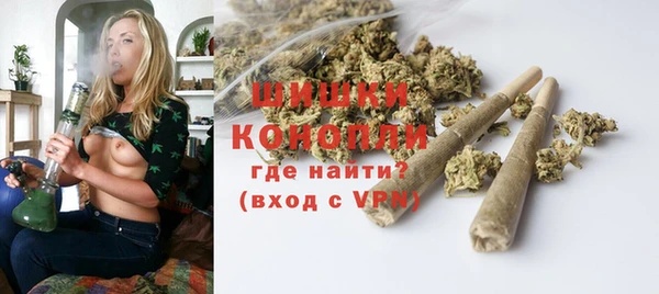 PSILOCYBIN Богородицк