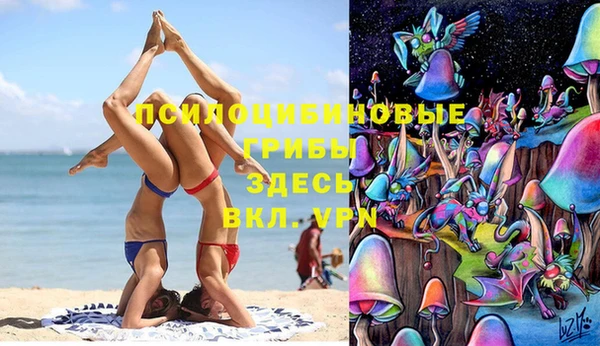 прущая мука Белокуриха