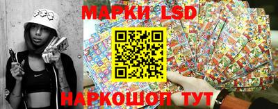 индика Обь