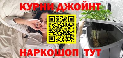 индика Обь
