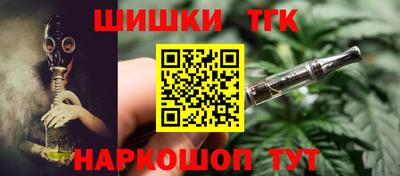 индика Обь