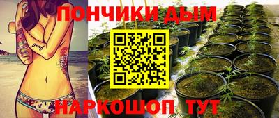 индика Обь