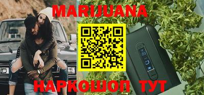 индика Обь