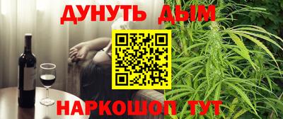индика Обь