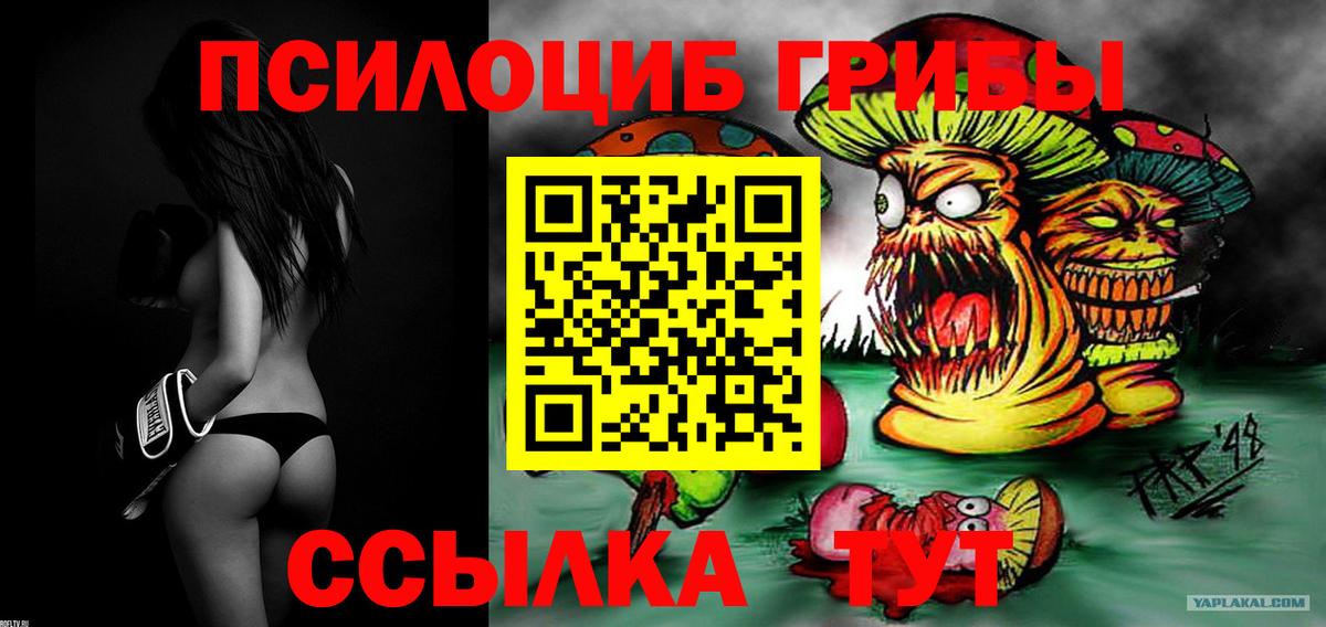 Пыть-Ях  Галлюциногенные грибы Cubensis  купить  цена  Вход с VPN 